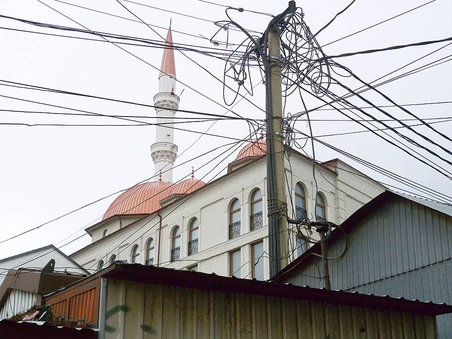 Copyright: Martin Theis